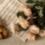 Cremona e i violini di Stradivari: capitale della liuteria