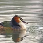 Lago Maggiore lombardo: cosa vedere e visitare