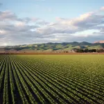 Lombardia, Beduschi: “PSR chiuso con risultati oltre le attese”