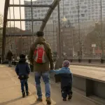 Passeggiata guidata e concorso fotografico al Parco di Villa Reale: un’occasione unica per scoprire gli insetti con Legambiente.