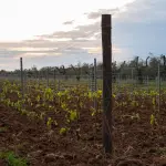 Una domenica tra campi e laboratori: Fattorie Didattiche 2025