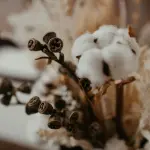 WYBC, il brand che rispetta ambiente, persone e tradizione