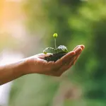 Forestazione urbana, a Cologno Monzese la presentazione del progetto PNRR