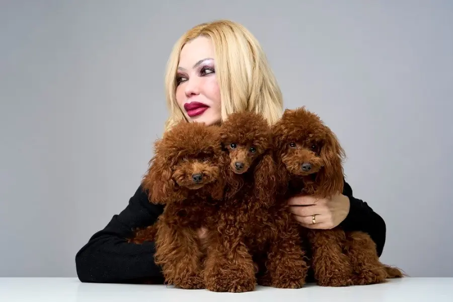 Guida alla scelta tra Barboncino Toy e Barboncino Nano