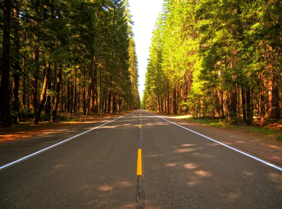 Lombardia, 10 milioni per “Strade Verdi”: città più fresche, meno traffico e aria più pulita