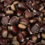 Conservare le castagne nel modo corretto