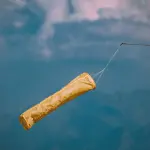 Milano, allerta gialla per vento: chiusi tendoni e ombrelloni nei dehors e nei mercati scoperti