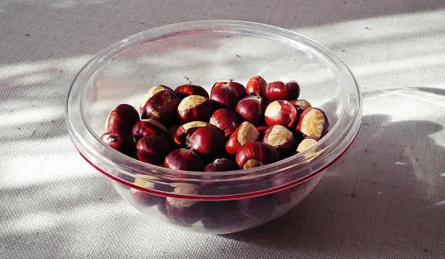 Castagne in cucina: idee di preparazione