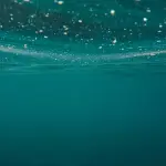 Piscina Argelati, da Milano arriva una visione condivisa: pubblica, accessibile e viva tutto l’anno