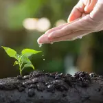 Giornata del Verde Pulito, la Lombardia mobilita cittadini e territori