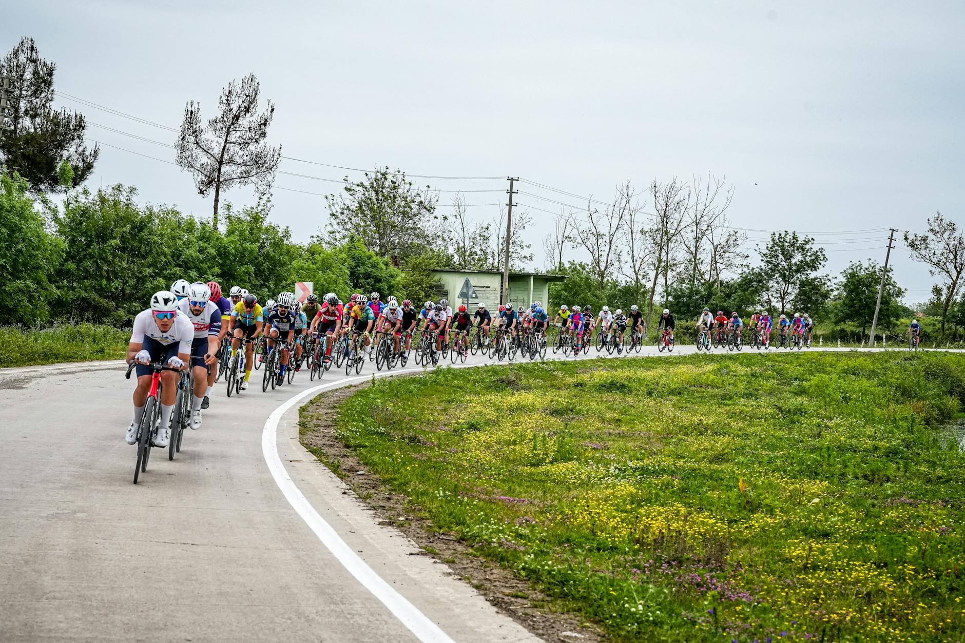 Maglia Azzurra 2026, Picchi: “Lombardia cuore del ciclismo italiano”