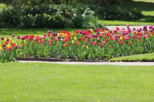 Milano, in piazzale Carrara l’area degradata diventerà verde urbano per il quartiere Stadera