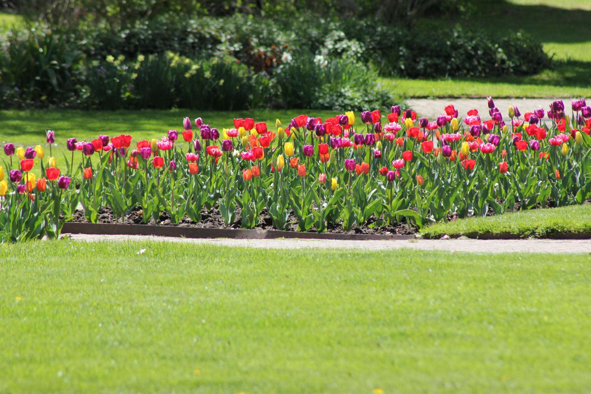 Milano, in piazzale Carrara l’area degradata diventerà verde urbano per il quartiere Stadera