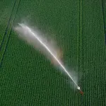 Mantova, nasce il primo distretto irriguo automatizzato