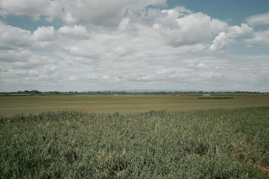 Ozono in Pianura Padana, Legambiente chiede tagli al metano agricolo