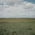 Ozono in Pianura Padana, Legambiente chiede tagli al metano agricolo