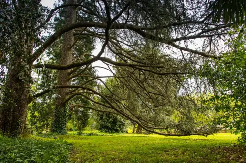 Orti Botanici della Statale, giugno tra arte, scienza e natura