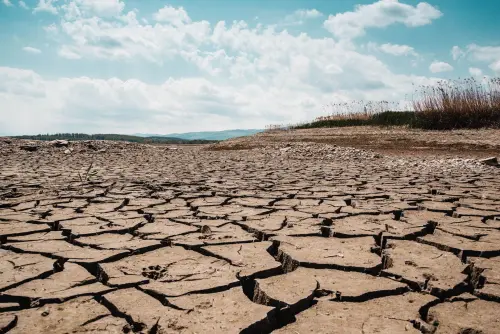 Po ai minimi nel Delta, Legambiente: “Non è siccità, pesa il sistema irriguo”