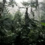 Biodiversità, il cibo globale minaccia le foreste tropicali