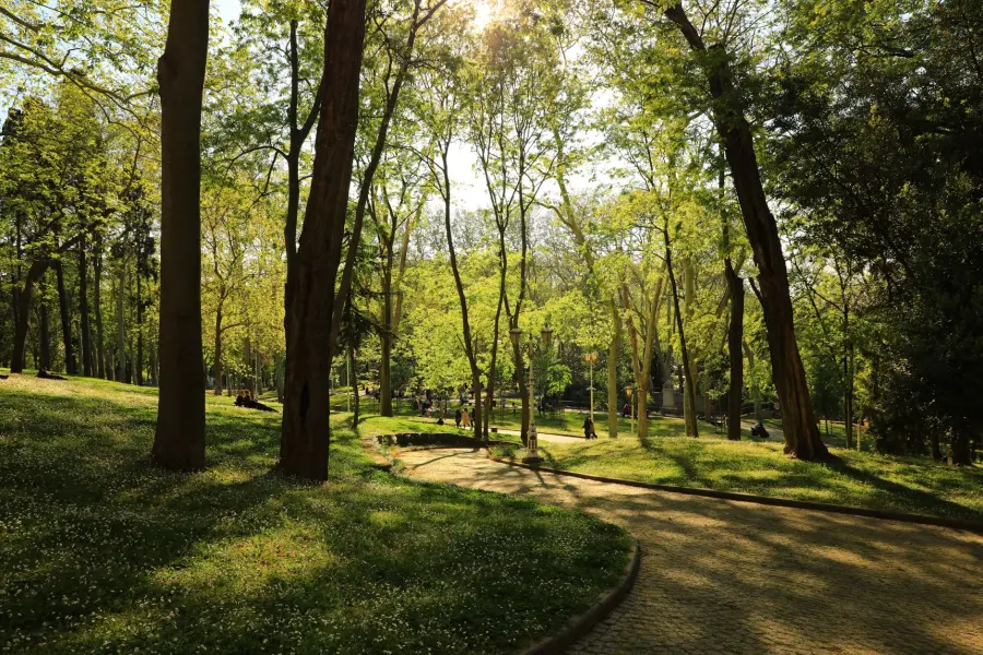 Milano, l’ex area Rizzinox diventerà un parco alberato