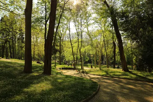 Milano, l’ex area Rizzinox diventerà un parco alberato