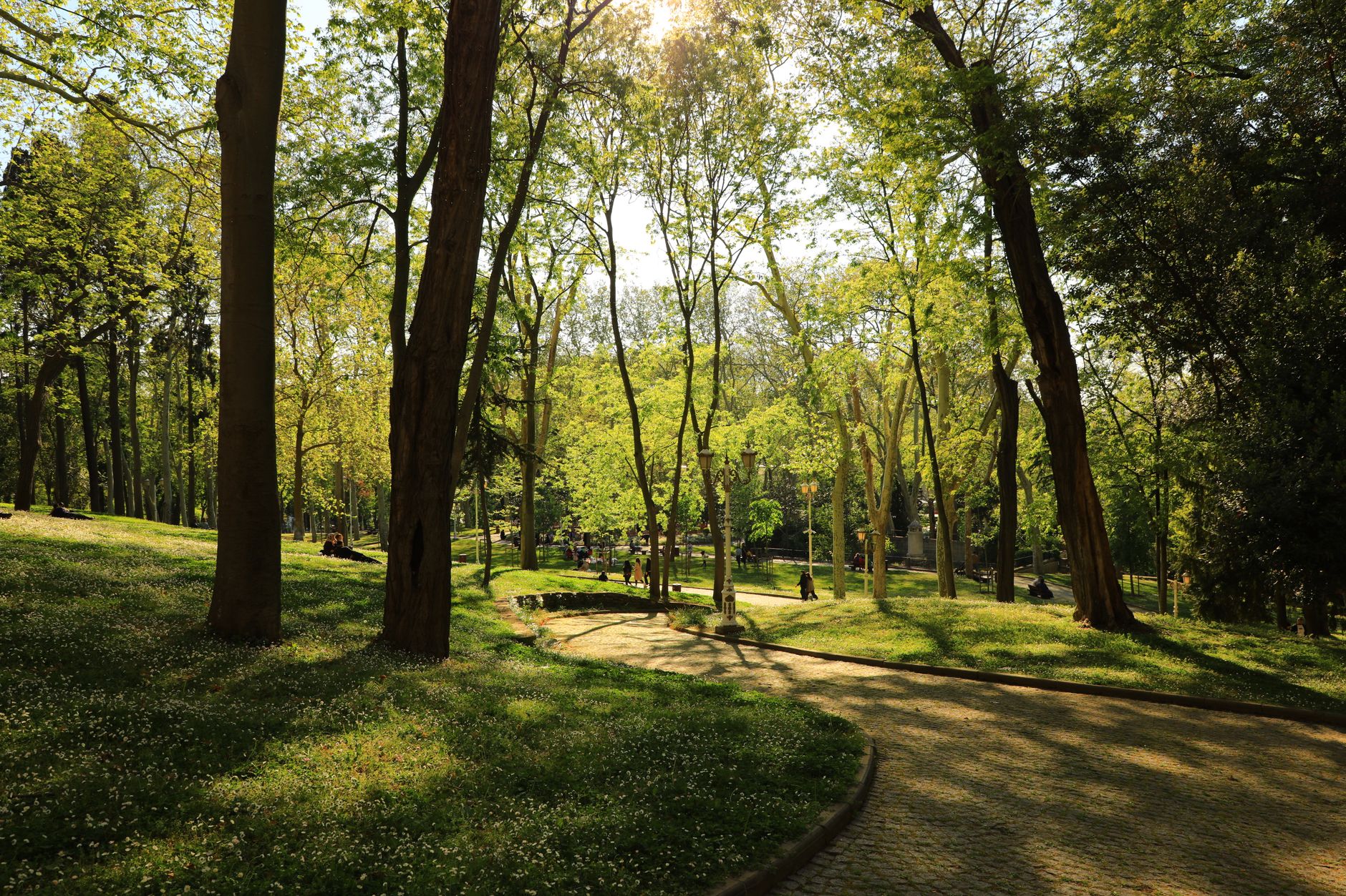 Milano, l’ex area Rizzinox diventerà un parco alberato
