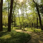 Milano, l’ex area Rizzinox diventerà un parco alberato