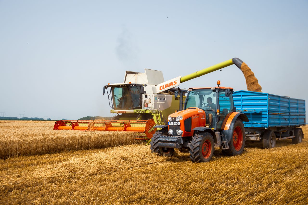 Lombardia, 32 milioni a 115 aziende agricole per ambiente e animali