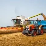 Lombardia, 32 milioni a 115 aziende agricole per ambiente e animali