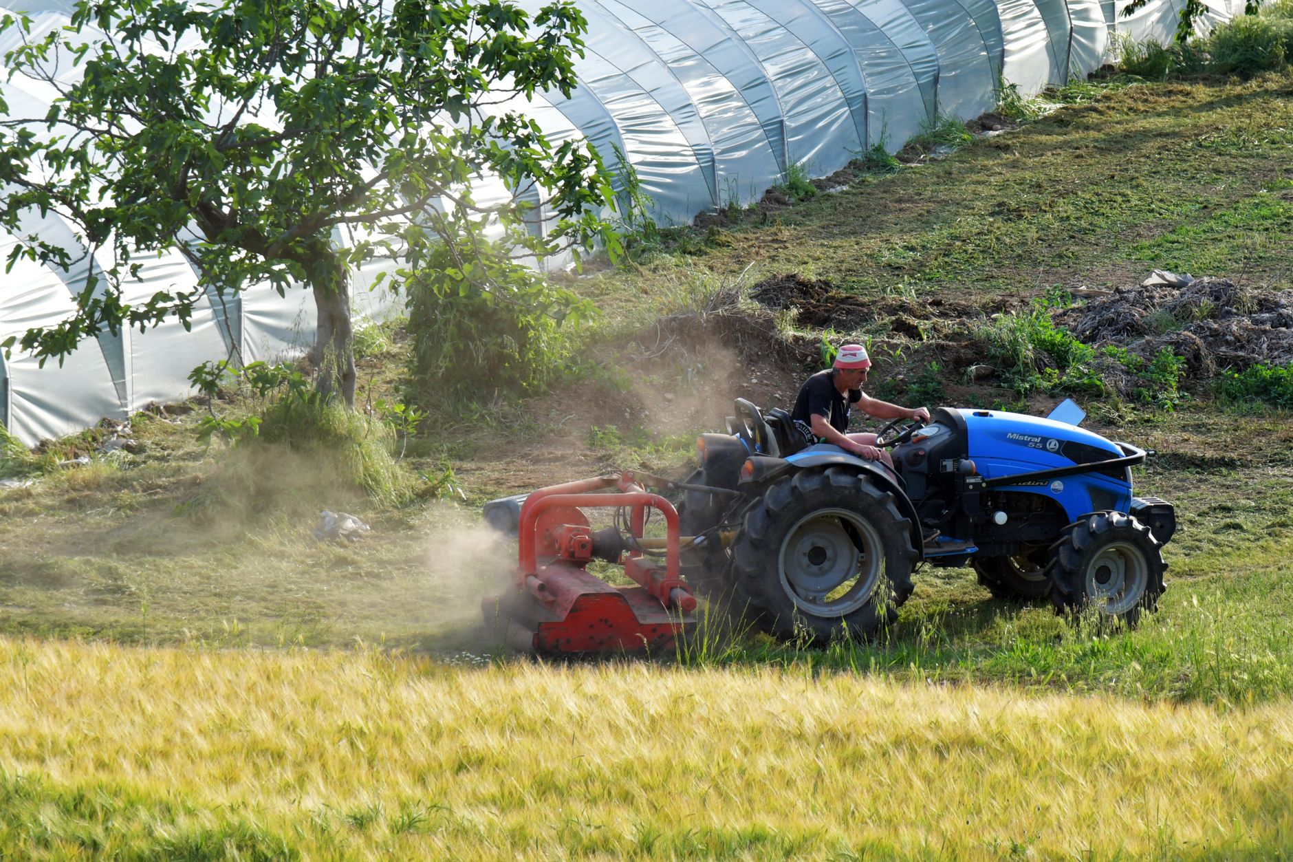 Lombardia-Kenya, Agripact da 10,1 milioni per l’agricoltura