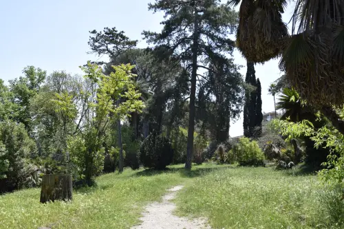 Villa Monastero protagonista a Orticolario 2026 con il suo giardino botanico