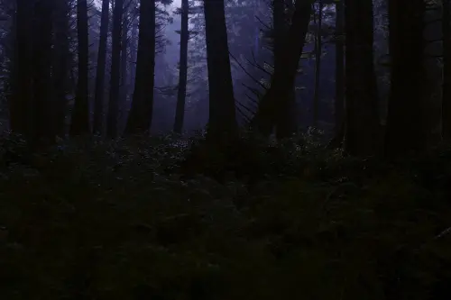 Il suono del futuro nasce a Rogoredo: firmato il contratto per il Bosco della Musica